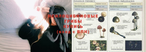 гидропоника Арсеньев